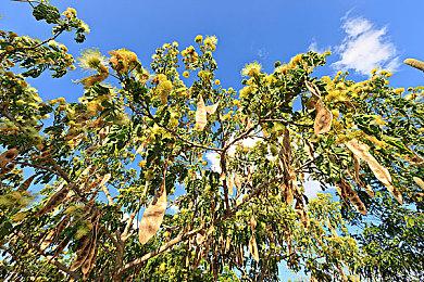 PS+欧美服6月会免游戏阵容：《怒之铁拳4》等