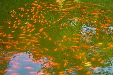 PS5游戏10月下载量排行 《使命召唤》新作无悬念居首